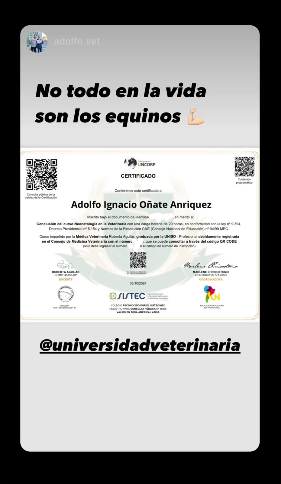 WhatsApp-Image-2024-10-05-at-01.00.31-1.jpeg