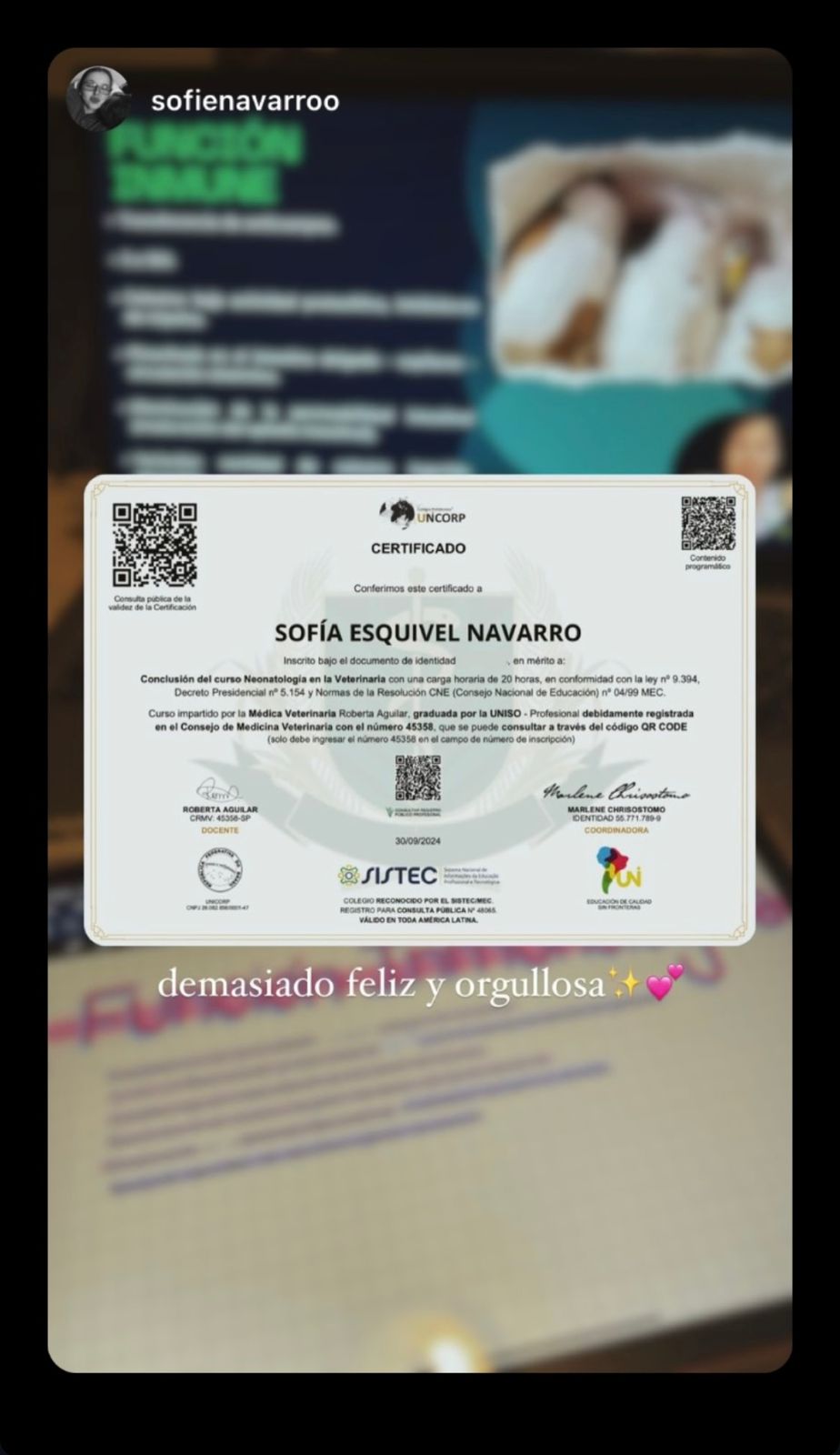 WhatsApp-Image-2024-10-05-at-01.00.33-2.jpeg